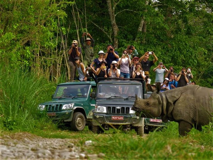 Chitwan Package